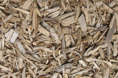 biomass boilers Wydra