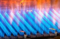 Wydra gas fired boilers